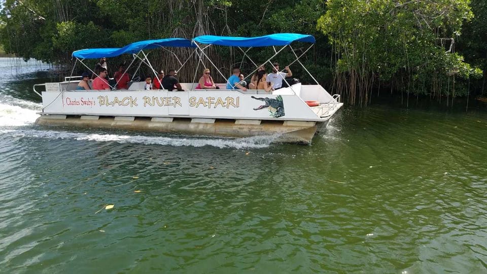 Guided boat tour through lush mangroves on Black River Safari