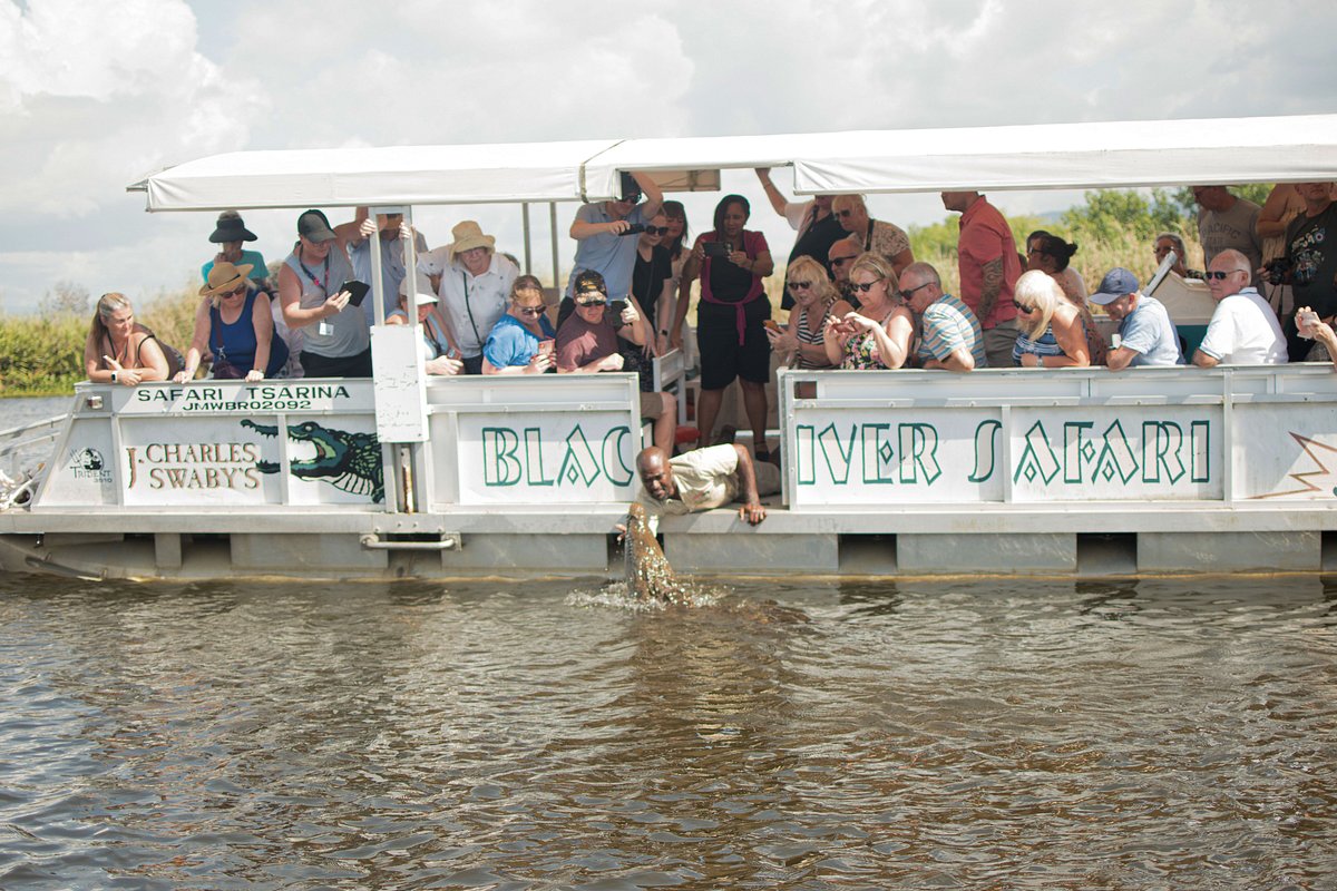 Tour Guide sharing cultural insights, passengers captivated by views